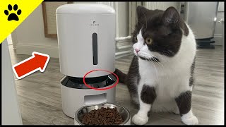 SO leicht hast du deine Katze NIE gefüttert!  | Petlibro Futterautomat