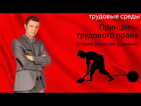 Принципы трудового права (стрим Василия Шавина)