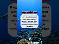 #факт #хочуфакты #фактыкаждыйдень
