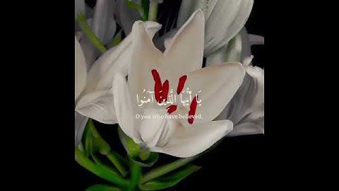 سورة الأحزاب - الآية ٥٦ Surah Al-Ahzab - Verse 56
