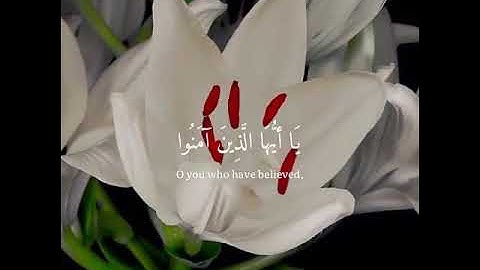 سورة الأحزاب - الآية ٥٦ Surah Al-Ahzab - Verse 56