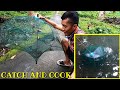 Catching shrimp using foldable fish & shrimp trap, | Catch N' Cook |