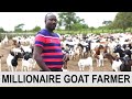 Meet millionaire goat farmer who quit his job to start goat farming hamiisi semanda