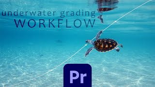 How to Color Grade Underwater Video | PREMIERE PRO TUTORIAL