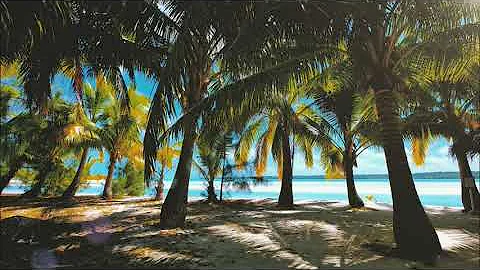 Relaxing Ocean Waves Sounds Under the Palm Trees for Deep Sleep and Relaxation