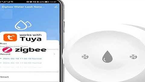 ONENUO Tuya ZigBee WiFi Smart Water Sensor Leak Detector Flood Water Leakage Alarm Smart Life Contro