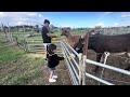 Hunter Valley #HArtventures 🤍