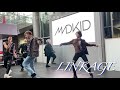 LINKAGE / MADKID【2021/11/21 @サンシャインサカエ】