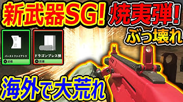 【CoD:MW2】新武器SG×ドラゴンブレス弾が海外で大荒れ!!『威力UPで強化されぶっ壊れにww』【MX GUARDIAN : 実況者ジャンヌ】