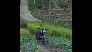 Download Lagu Pamungkas - to the bone (slowed verb reff) MP3