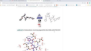 Protein ligand interactions using PDBsum-LigPlot