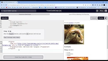 Learn HTML By building a cat photo app Step - 26