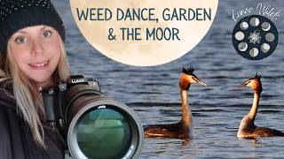 Worm to Pink Moon: Spring Wildlife Watching Cornwall
