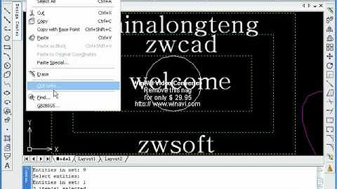 Filtering the objects in ZWCAD