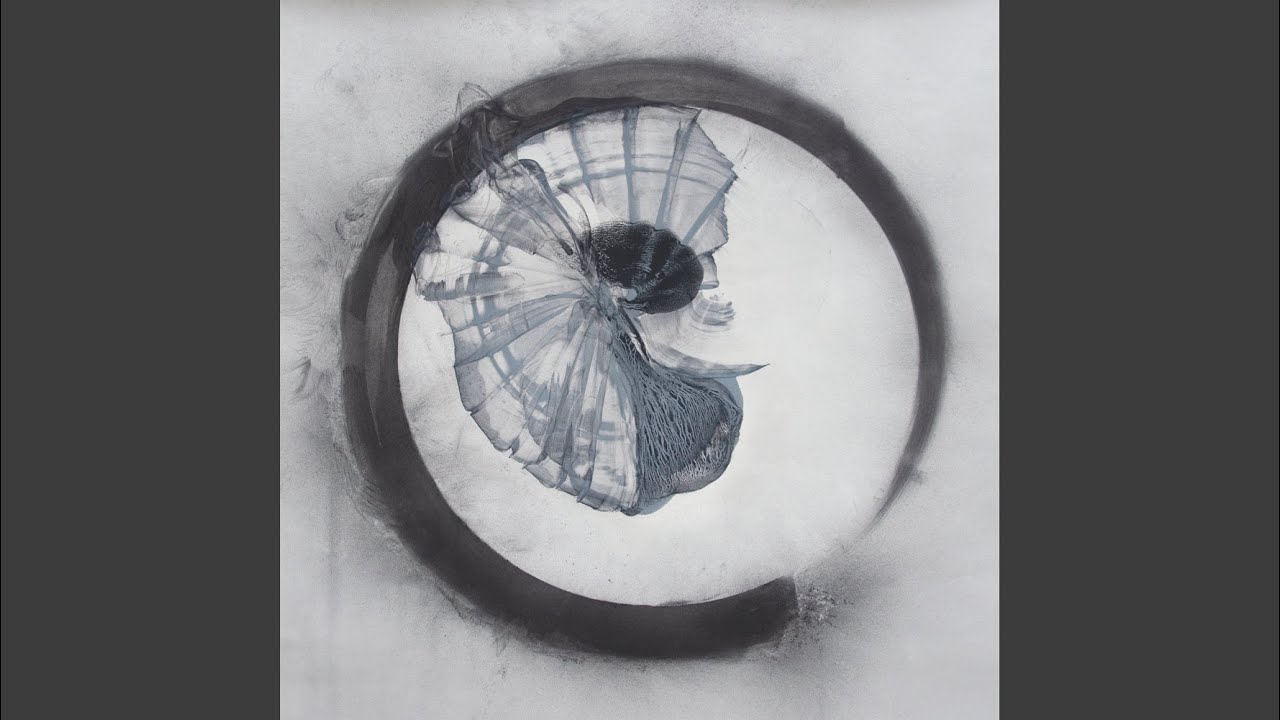 Watch Muted on YouTube Watch Muted on YouTube