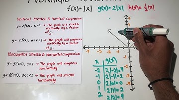 Vertical Stretch & Compression (Nonrigid Transformation)