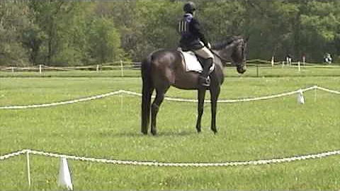 Pamela Bartholomew Eventing at St. Augustine