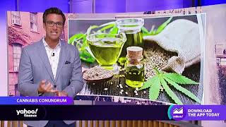 Marijuana legalization on ballot in five states’ midterm elections