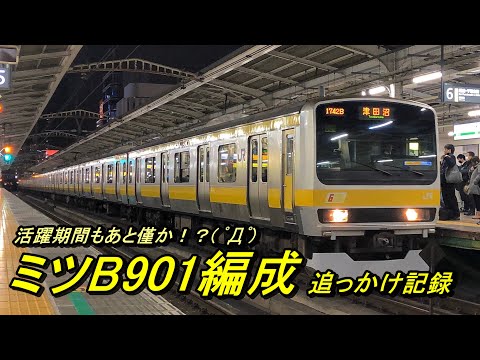 【中央･総武線各駅停車】ミツB901編成追っかけ記録