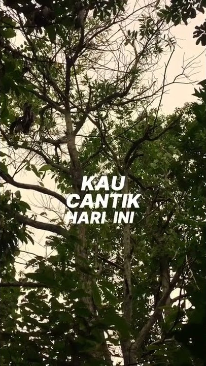 Kau Cantik Hari ini | Story wa #shorts #viral