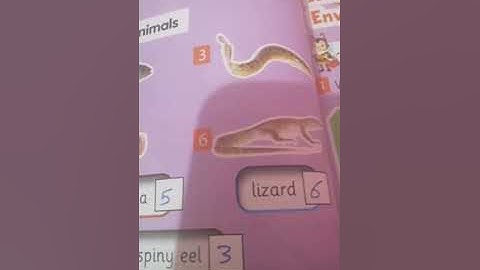 English primary 2 unit9 connect plus part1