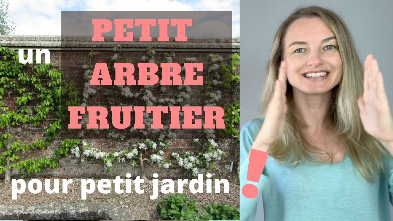 Un PETIT ARBRE FRUITIER pour petit jardin si charmant !