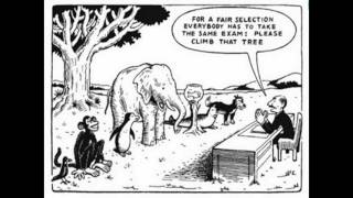 Controversies in Intelligence Testing