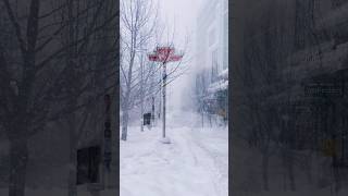 Download Lagu Toronto Buried Under Snow 🌨️ Apocalypses 🥶 MP3