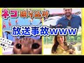 【2ch動物スレ】またもニュースに映り込むネコたちｗｗｗ
