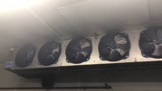 How to properly clean an evaporator coil