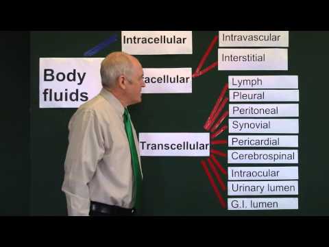 Video: Body fluids