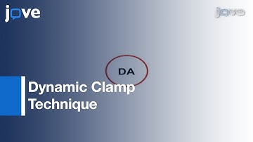 Application: NMDA Receptor Conductance-Rat Midbrain Dopaminergic Neurons l Protocol Preview