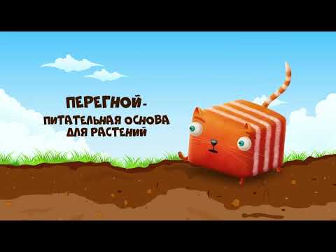 Развлечеба - Про почву