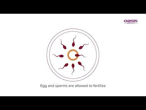ვიდეო: ინ ვიტრო კვერცხუჯრედის მომწიფება?