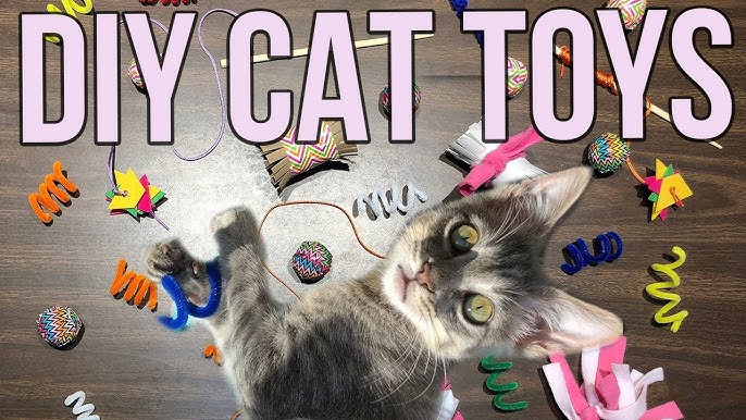 How to Make a Mega Cat Puzzle Toy 