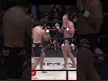 Top brutal heavyweight knockouts #UFC #MMA #Shorts #UFCHighlights #Knockout