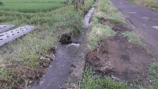 PANASONIC W585 HANDYCAM VIDEO TEST