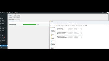 Link dos arquivos de tradução 100% completos do Woocommerce em português do Brasil