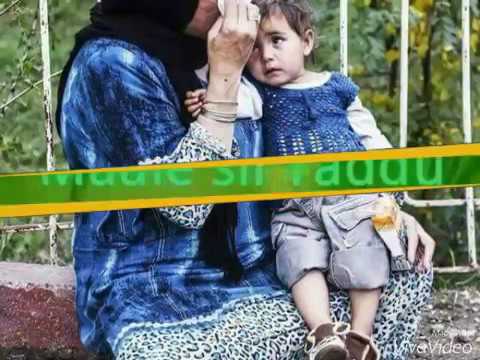 Hadhaa Koo Kake Dubaturaa Oso Dhise Woya Afani Koo Cufadhee