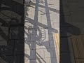 Walking Through Bicycle Shadows