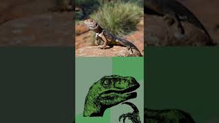 Dinossauros Tinham Sangue Quente Ou Frio?? - Mesozoico Zoado