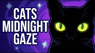 Cat Eyes At Night The Amazing Way Cats See In The Dark