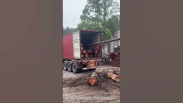 Take out the logs from the container