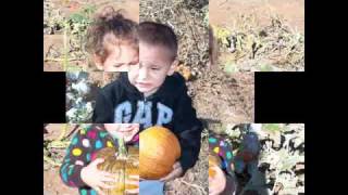 Pumpkin Patch 2010