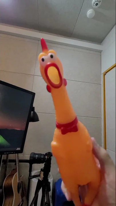 미친닭이 부르는 '제로투 댄스' (Rubber chicken - Zero two dance) #shorts