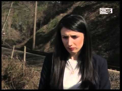 ციხისძირში ხის გადატანის სამუშაოები ისევ  შეჩერდა