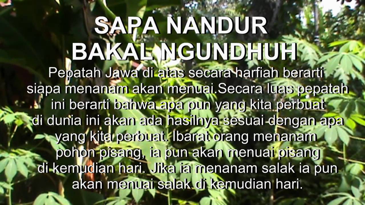  128 Kumpulan Kata Kata Motivasi Tentang Kehidupan 