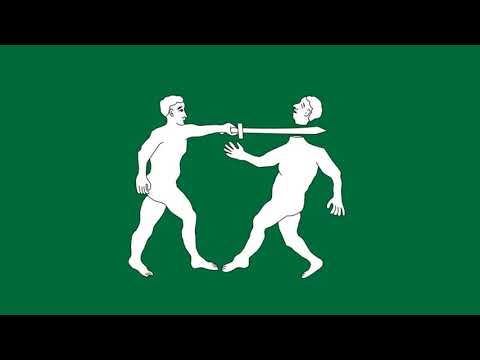 World Flag Animation but every country is fascist