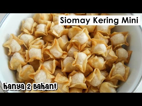 Bahan Bikin Siomay Goreng
