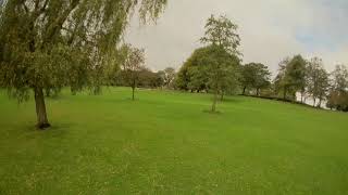 Just a chill at the park
